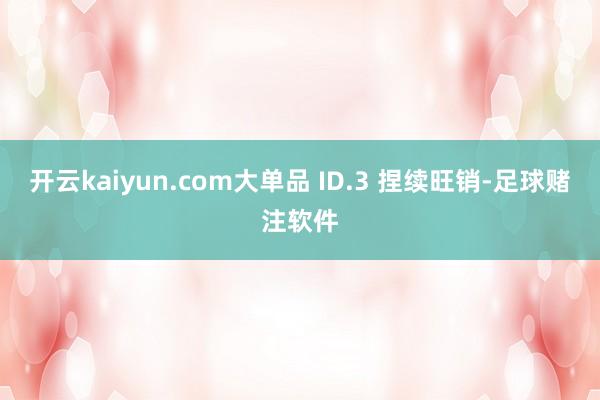 开云kaiyun.com大单品 ID.3 捏续旺销-足球赌注软件