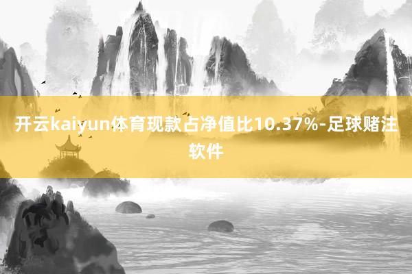 开云kaiyun体育现款占净值比10.37%-足球赌注软件