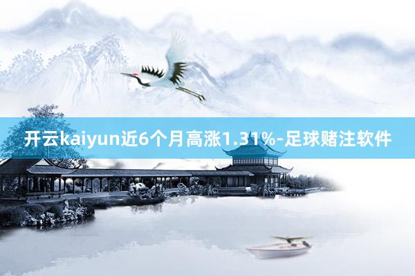 开云kaiyun近6个月高涨1.31%-足球赌注软件