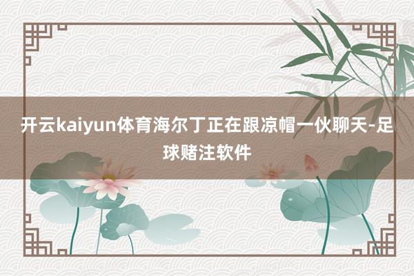 开云kaiyun体育海尔丁正在跟凉帽一伙聊天-足球赌注软件