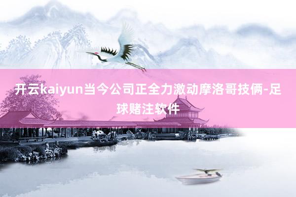 开云kaiyun当今公司正全力激动摩洛哥技俩-足球赌注软件