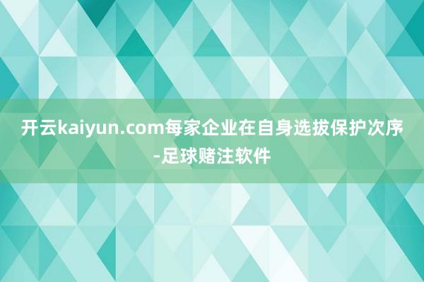 开云kaiyun.com每家企业在自身选拔保护次序-足球赌注软件