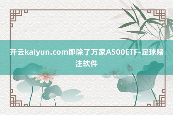 开云kaiyun.com即除了万家A500ETF-足球赌注软件