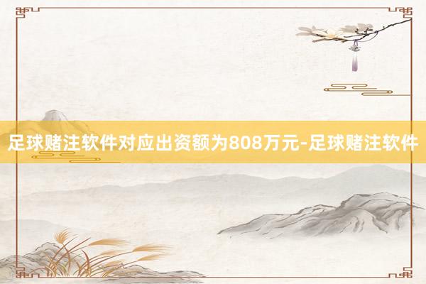 足球赌注软件对应出资额为808万元-足球赌注软件