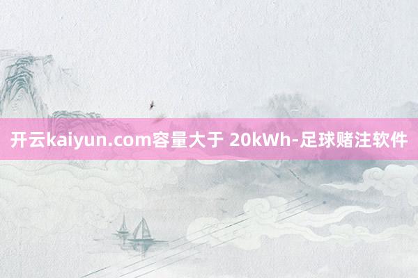 开云kaiyun.com容量大于 20kWh-足球赌注软件