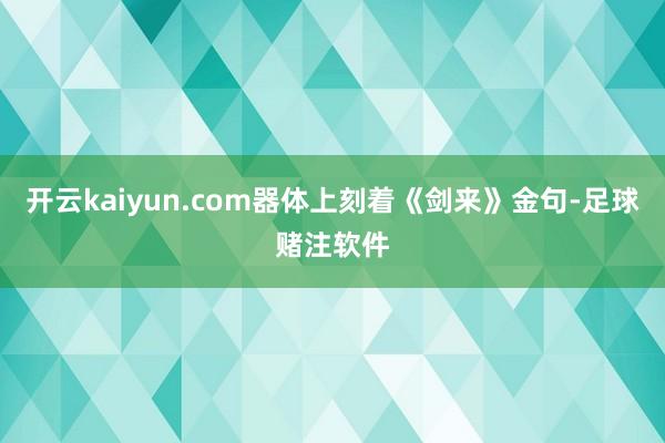 开云kaiyun.com器体上刻着《剑来》金句-足球赌注软件