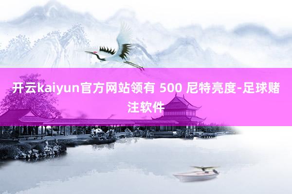 开云kaiyun官方网站领有 500 尼特亮度-足球赌注软件