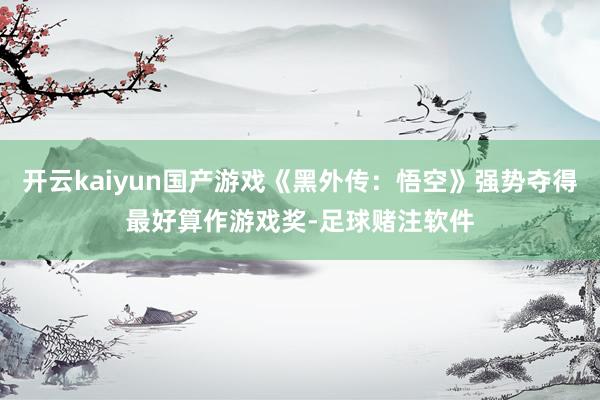 开云kaiyun国产游戏《黑外传：悟空》强势夺得最好算作游戏奖-足球赌注软件