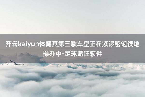 开云kaiyun体育其第三款车型正在紧锣密饱读地操办中-足球赌注软件