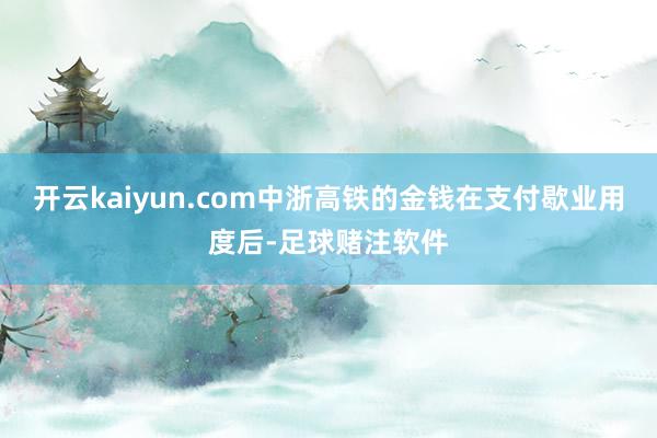 开云kaiyun.com中浙高铁的金钱在支付歇业用度后-足球赌注软件