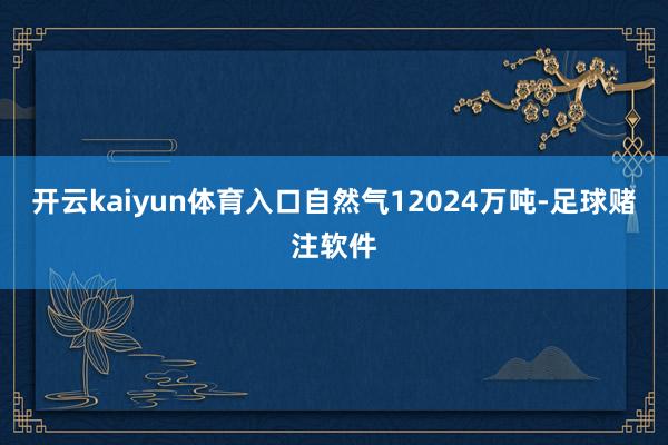 开云kaiyun体育入口自然气12024万吨-足球赌注软件