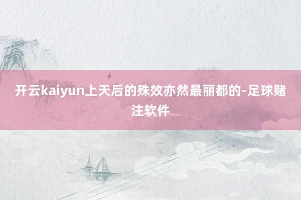 开云kaiyun上天后的殊效亦然最丽都的-足球赌注软件