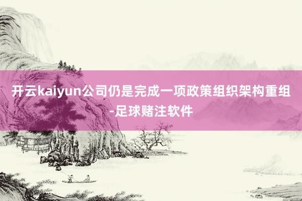 开云kaiyun公司仍是完成一项政策组织架构重组-足球赌注软件