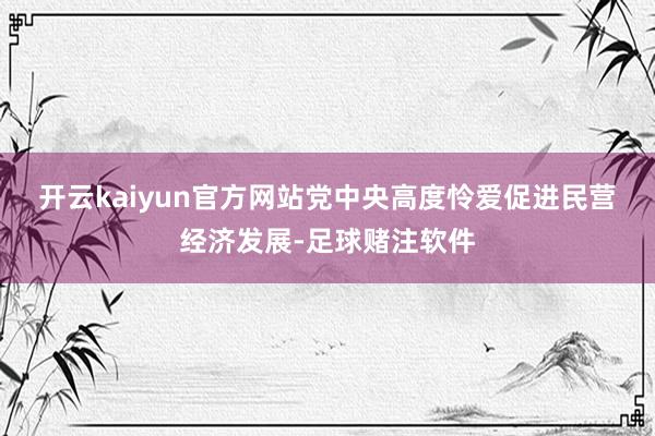 开云kaiyun官方网站　　党中央高度怜爱促进民营经济发展-足球赌注软件