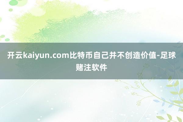 开云kaiyun.com比特币自己并不创造价值-足球赌注软件