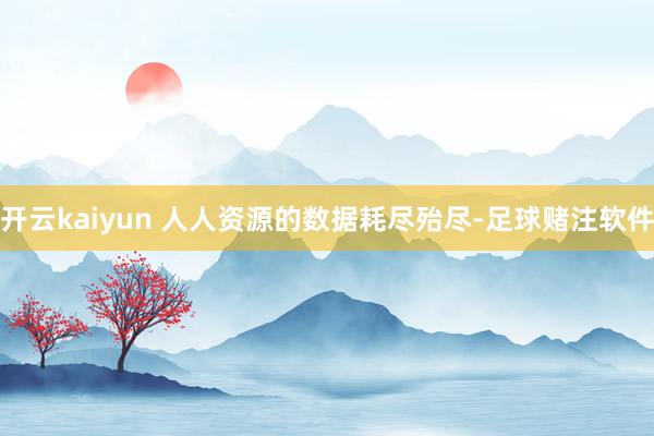 开云kaiyun 人人资源的数据耗尽殆尽-足球赌注软件