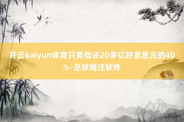 开云kaiyun体育只需偿还20多亿好意思元的40%-足球赌注软件