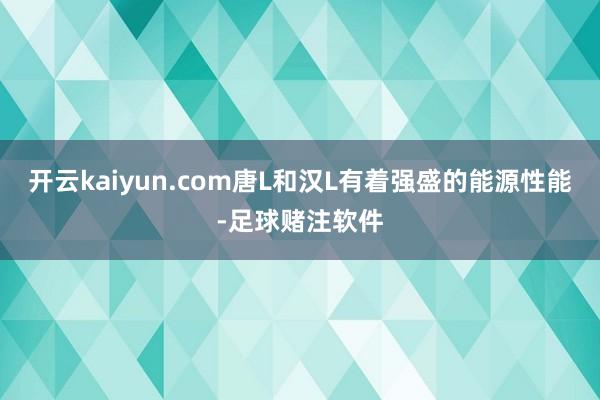 开云kaiyun.com唐L和汉L有着强盛的能源性能-足球赌注软件