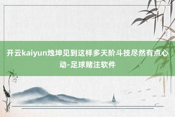 开云kaiyun烛坤见到这样多天阶斗技尽然有点心动-足球赌注软件