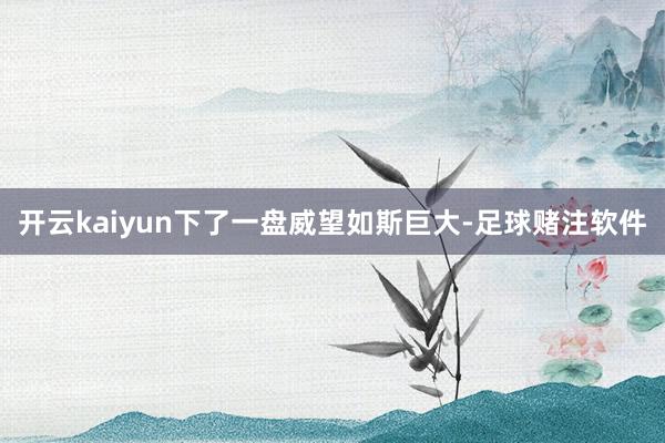 开云kaiyun下了一盘威望如斯巨大-足球赌注软件