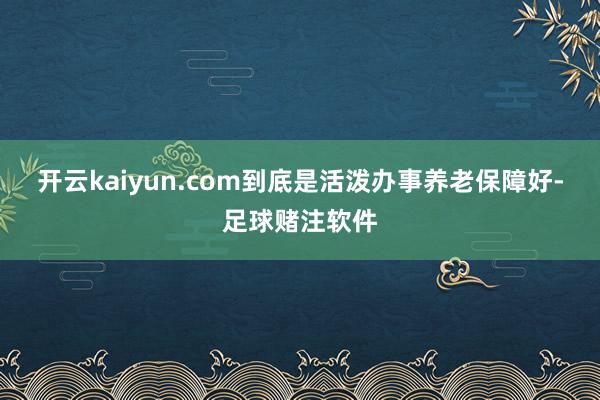 开云kaiyun.com到底是活泼办事养老保障好-足球赌注软件