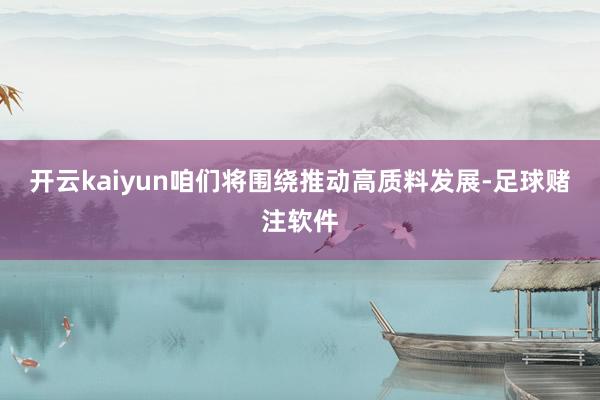 开云kaiyun咱们将围绕推动高质料发展-足球赌注软件