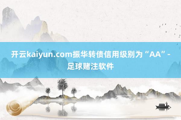 开云kaiyun.com振华转债信用级别为“AA”-足球赌注软件