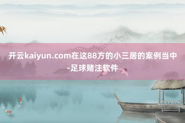 开云kaiyun.com在这88方的小三居的案例当中-足球赌注软件