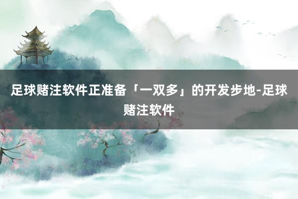 足球赌注软件正准备「一双多」的开发步地-足球赌注软件