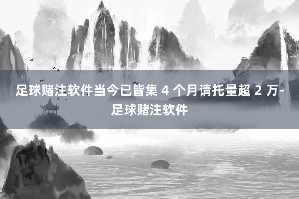 足球赌注软件当今已皆集 4 个月请托量超 2 万-足球赌注软件