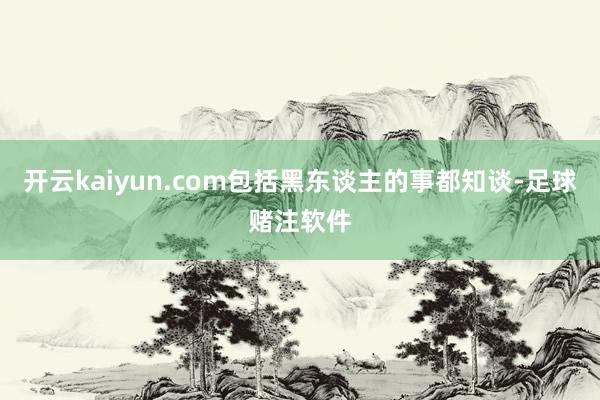 开云kaiyun.com包括黑东谈主的事都知谈-足球赌注软件