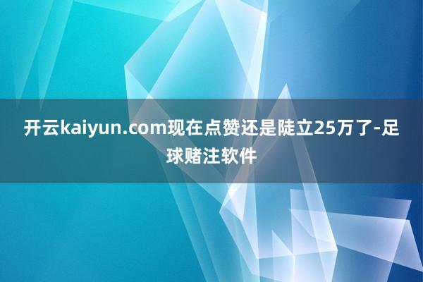 开云kaiyun.com现在点赞还是陡立25万了-足球赌注软件