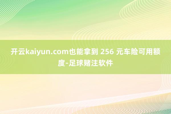 开云kaiyun.com也能拿到 256 元车险可用额度-足球赌注软件