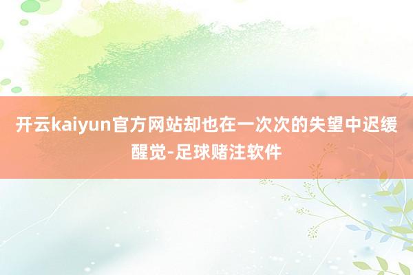 开云kaiyun官方网站却也在一次次的失望中迟缓醒觉-足球赌注软件