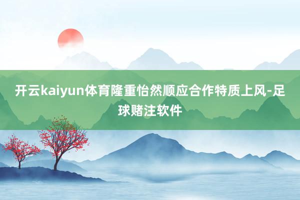 开云kaiyun体育隆重怡然顺应合作特质上风-足球赌注软件