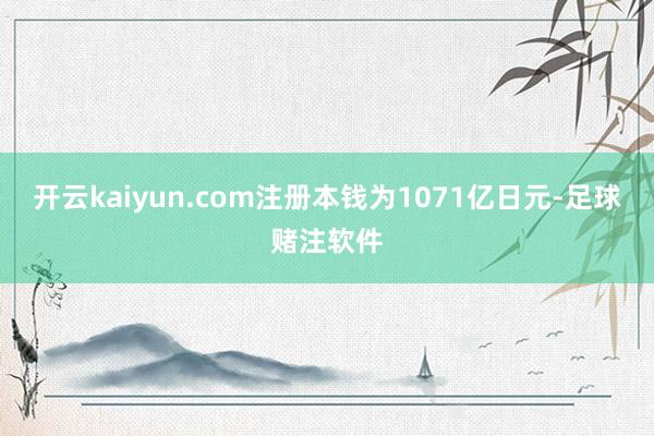 开云kaiyun.com注册本钱为1071亿日元-足球赌注软件