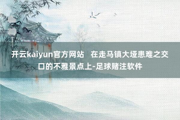 开云kaiyun官方网站   在走马镇大垭患难之交口的不雅景点上-足球赌注软件