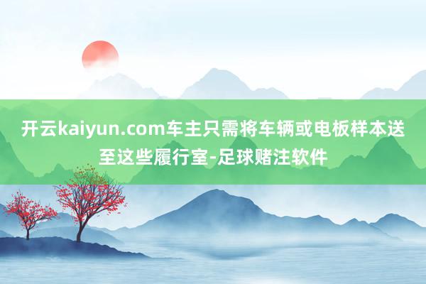 开云kaiyun.com车主只需将车辆或电板样本送至这些履行室-足球赌注软件