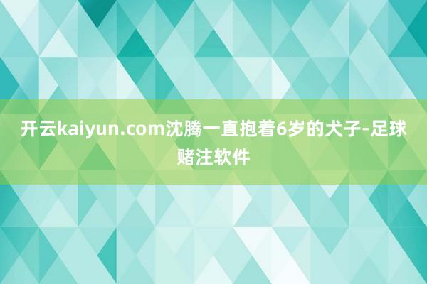 开云kaiyun.com沈腾一直抱着6岁的犬子-足球赌注软件