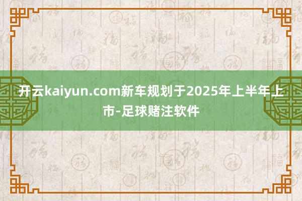 开云kaiyun.com新车规划于2025年上半年上市-足球赌注软件