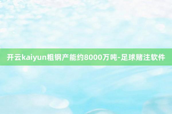 开云kaiyun粗钢产能约8000万吨-足球赌注软件