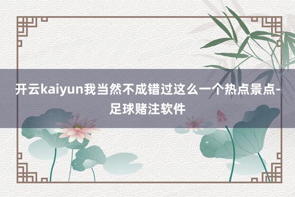 开云kaiyun我当然不成错过这么一个热点景点-足球赌注软件